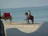 _12_23_djerba_an_0048_small.jpg