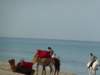 _12_23_djerba_an_0049_small.jpg