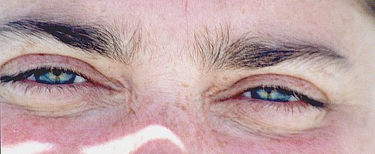 Plus bleu que le bleu de mes yeux.JPG (30048 bytes)